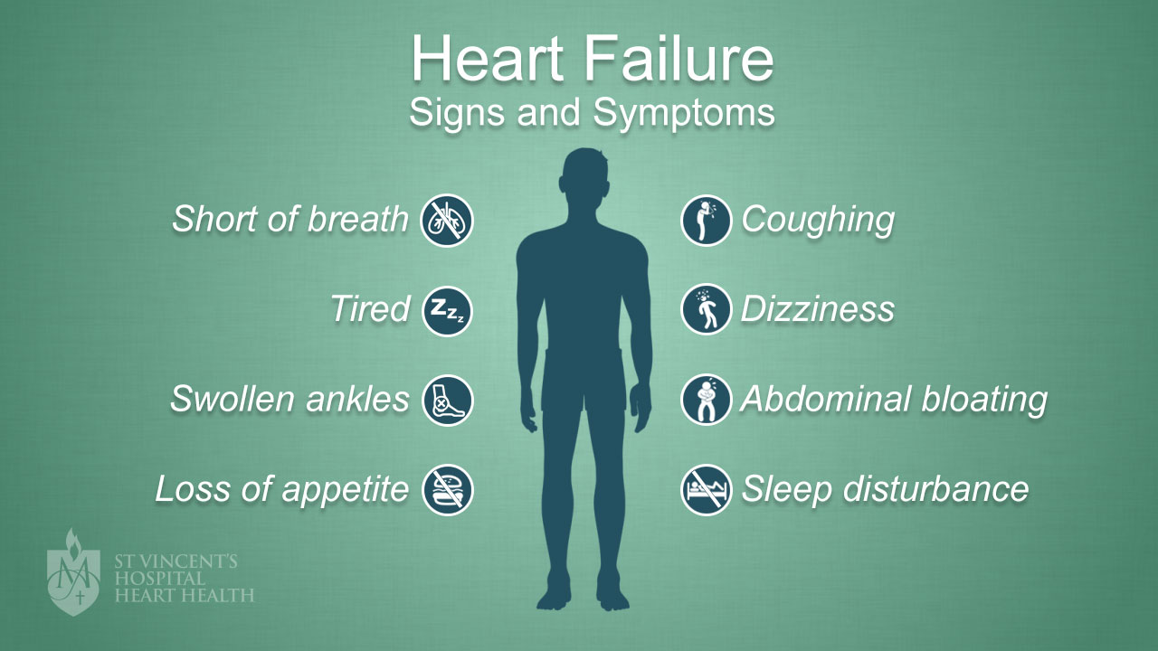 Heart Failure St Vincent s Heart Health